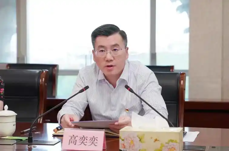 上海市宝山区委副书记区长高奕奕落马