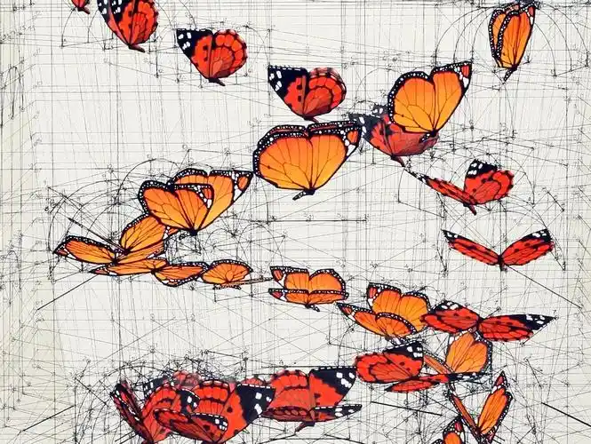 "其中画的最多的就是蝴蝶以及蝴蝶的飞行轨迹画出了一幅幅令人叹为