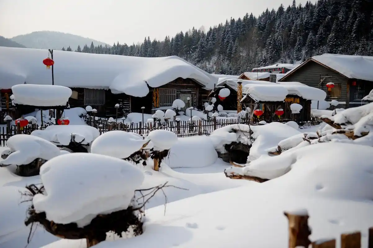 1月19日在黑龙江省大海林林业局雪乡景区拍摄的农家小院.