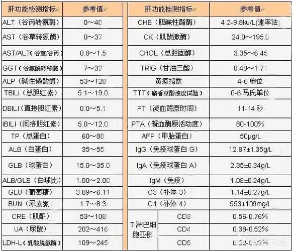 肝功能检查,怎么看报告?