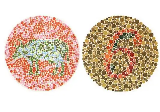 色盲测试图第五版及答案