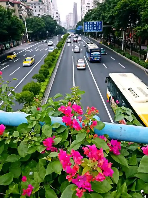 广州街景随拍