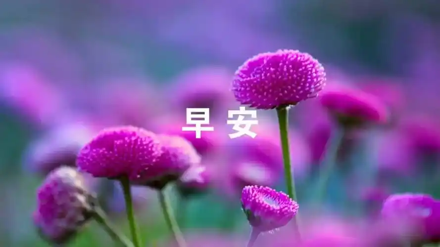 超漂亮的早安正能量问候祝福语,温馨幸福的早安图片带祝福语