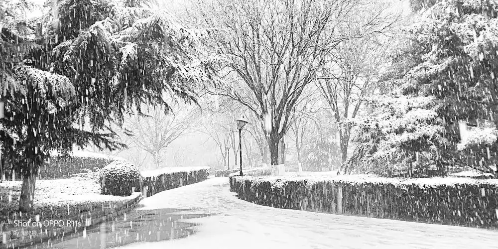 12.16北京第二场大雪纷飞.