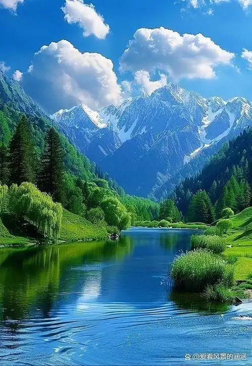 美图欣赏——山林春天,芬芳四溢的美景