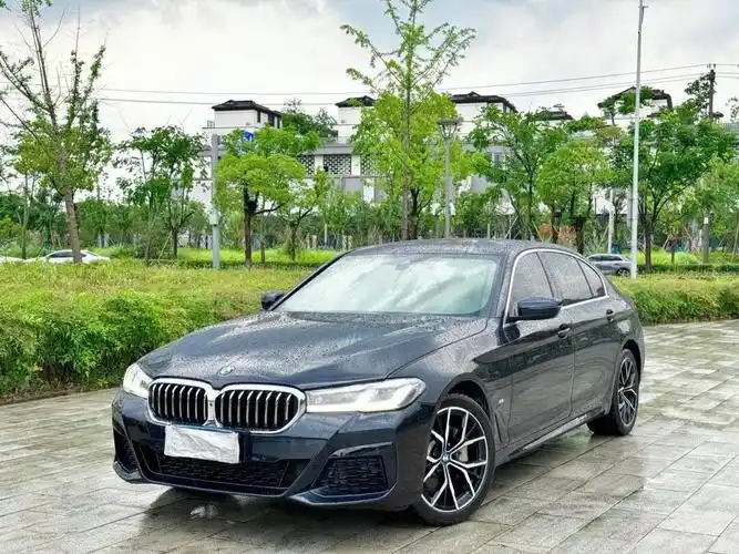 x 宝马5系2021款 宝马530li 尊享型m运动套装 2