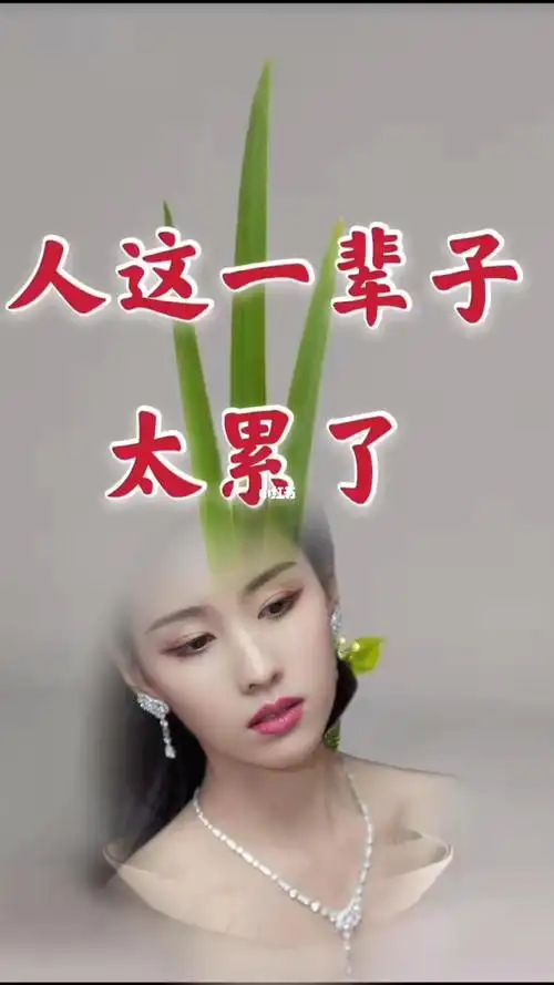 人这一辈子太累了