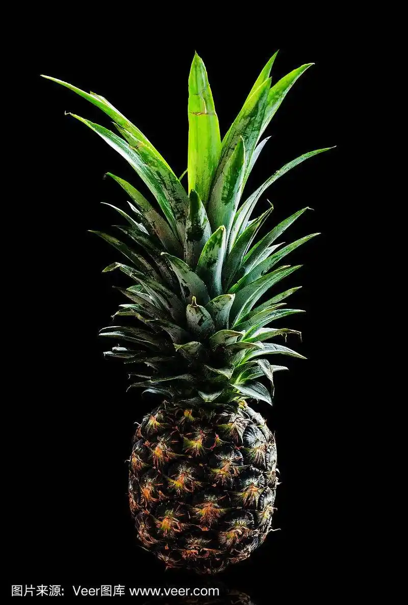 黑色背景上的菠萝