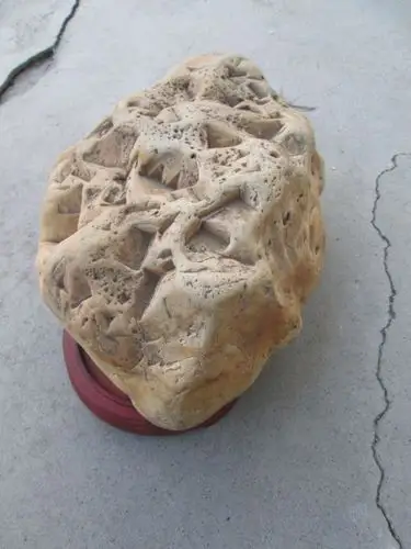 这块石头值多少钱有收藏价值吗?求解答