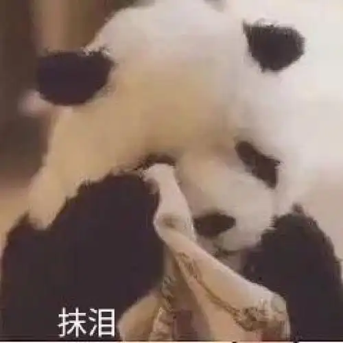 我最爱的表情包  #动物表情包 #表情包分享  #可爱表情包