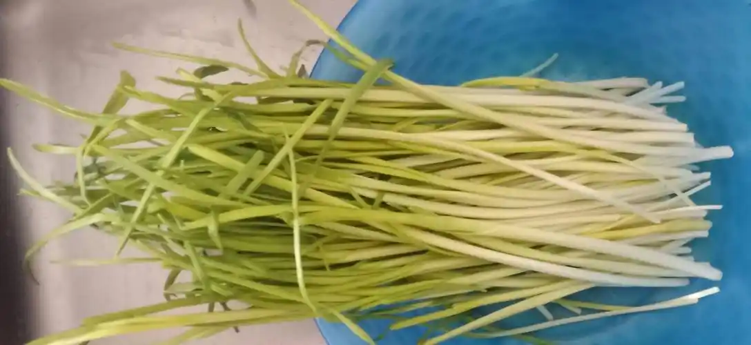 蒜苗炒鸡蛋!烀地瓜!猪皮冻!凉菜!炸雪花鸡柳!大米饭!