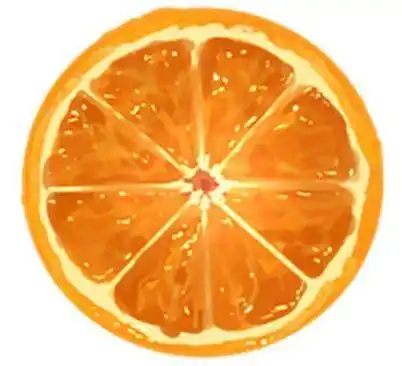 板绘橘子怎么画叫你柑橘的各种画法教程