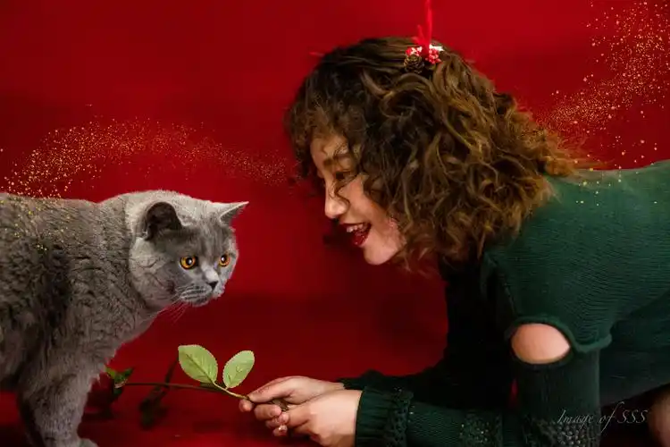 标题:红配绿,最有理