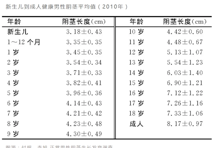 新生儿到成人健康男性阴茎平均值 (2010年) 付超,李旭-正常男性阴茎