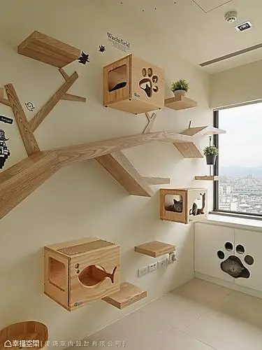 猫房_1519379_1833597 – 设计本装修效果图