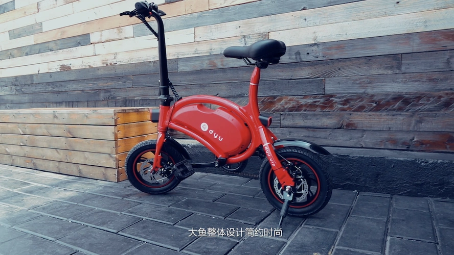 2017年dyu大鱼d1电动自行车视频