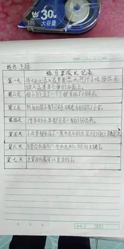 孩子们还记录下了自己的观察过程.