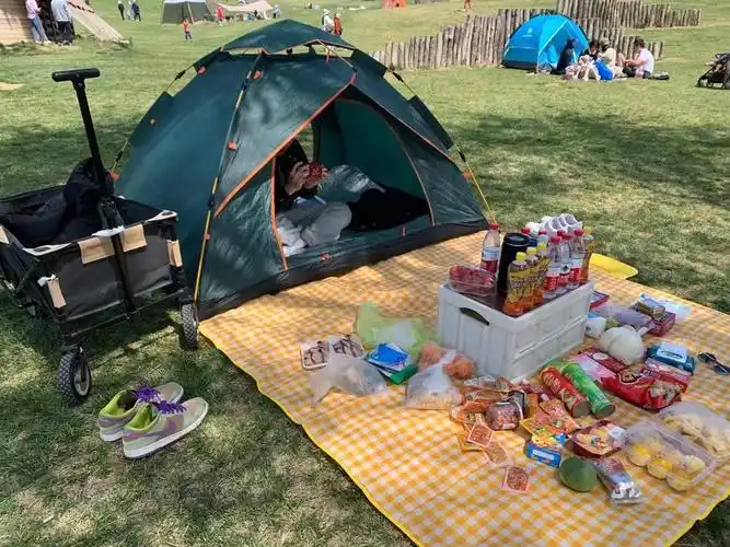 家庭露营选什么帐篷还有哪些露营必备品