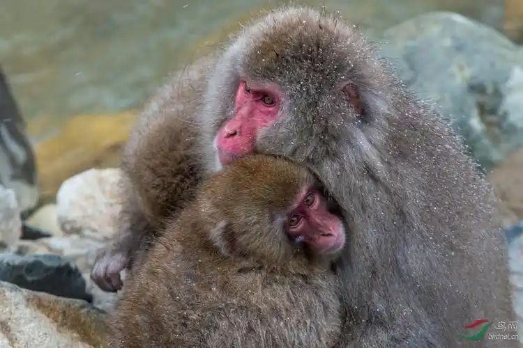 妈妈温暖的怀抱