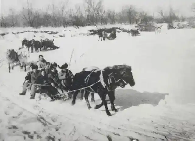 1968,我在北大荒的那些年,一组北大荒知青的老照片,难忘的记忆