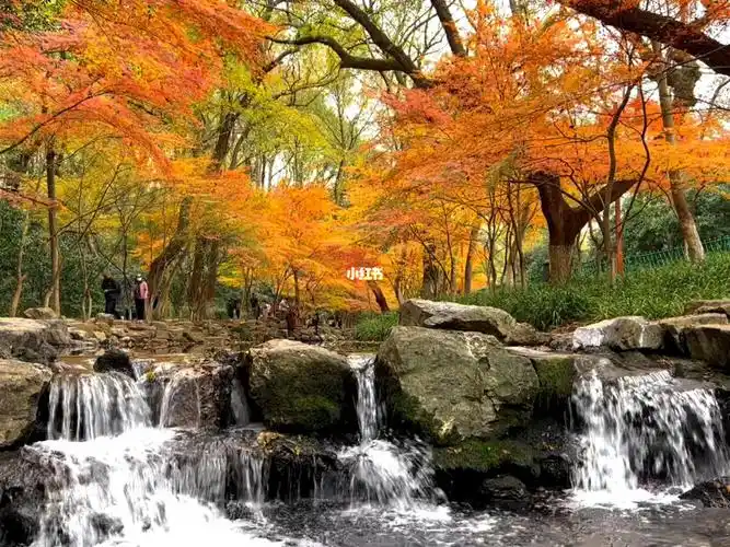 中国杭州九溪烟村