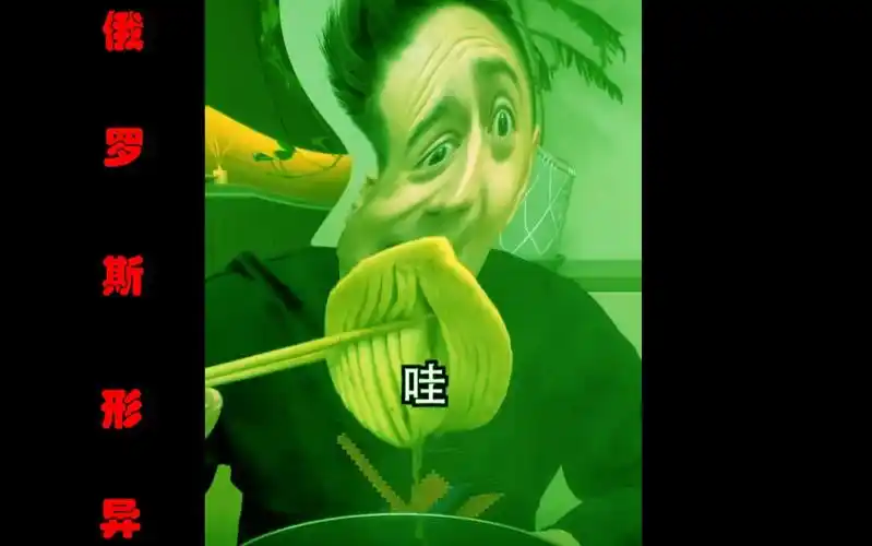 活动作品伏拉夫恐怖勿进