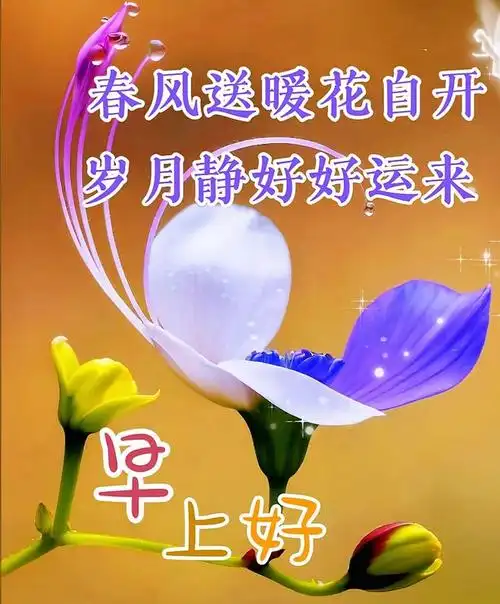 4月15日早安漂亮图片问候祝福语|快乐|清晨|幸福|早上好_网易订阅