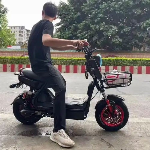 极酷电动车双碟刹油电瓶车青年学生男女外卖车新国标电动自行车