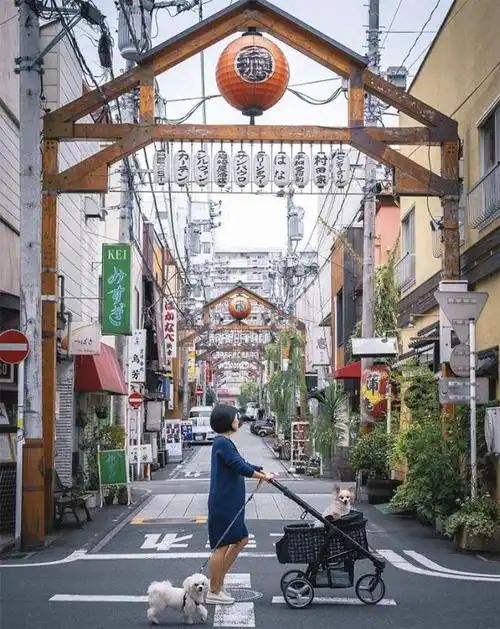 48张图片,看看摄影师用手机拍下的日本街头