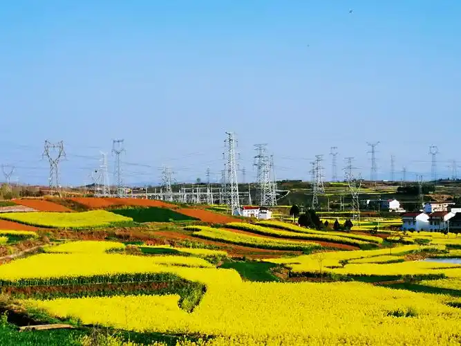 已将陕西电网打造成为花海中的一道靓丽风景线