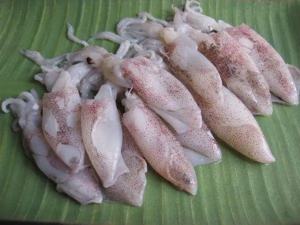 蒜香小鱿鱼的做法,蒜香小鱿鱼怎么做好吃,蒜香