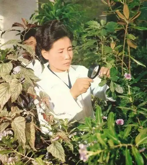 来源:新历史怪    编辑:宋静