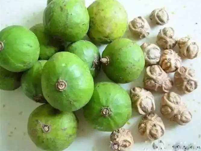 银稔又名仁面,人面子或银莲果.它是漆树科乔木植物的果实.