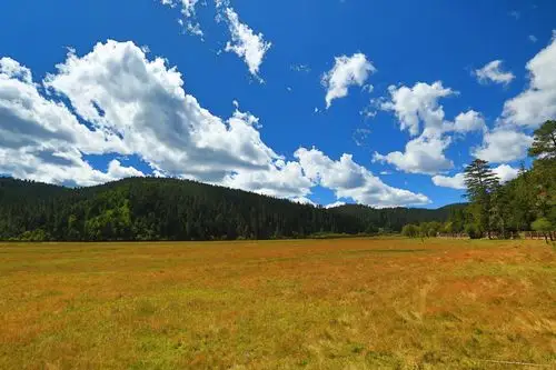 10月份适合旅游的地方(10月份适合旅游的地方有哪些)