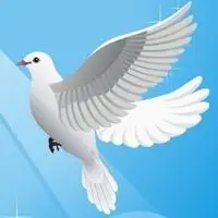 各种类型的鸽子可爱个性头像图片鸽子英姿勃勃给人们以美的享受