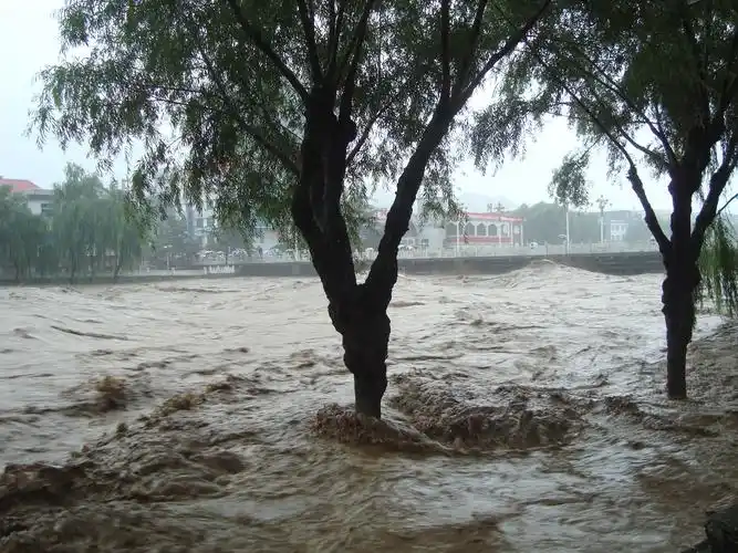 24"栾川洪灾图(之一)