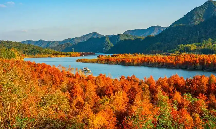 其它 醉美红杉林 写美篇  皖南川藏线的红杉林(落羽杉湿地公园),位于