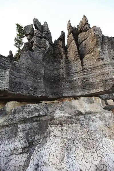 梅硐竹石林现"豹皮纹灰岩" 距今已有近5亿年