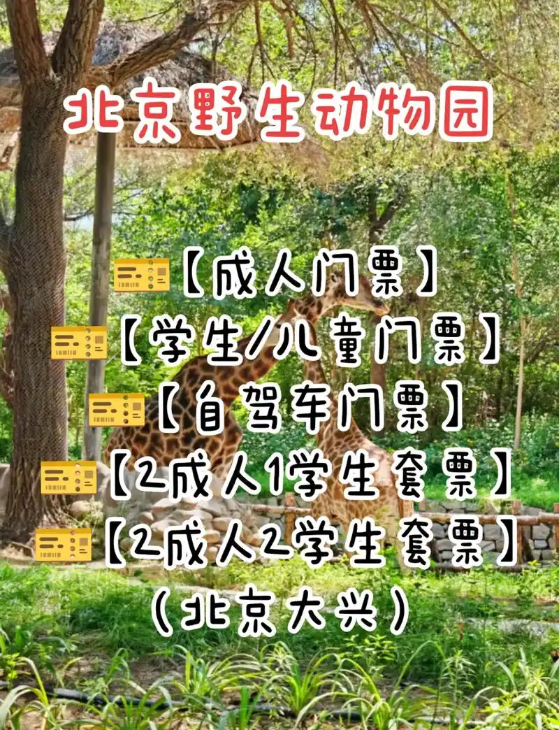 北京野生动物园(北京大兴)99【成人门票】 99【学生/儿童 - 抖音