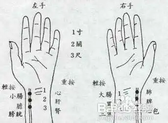 快速掌握摸脉的经验