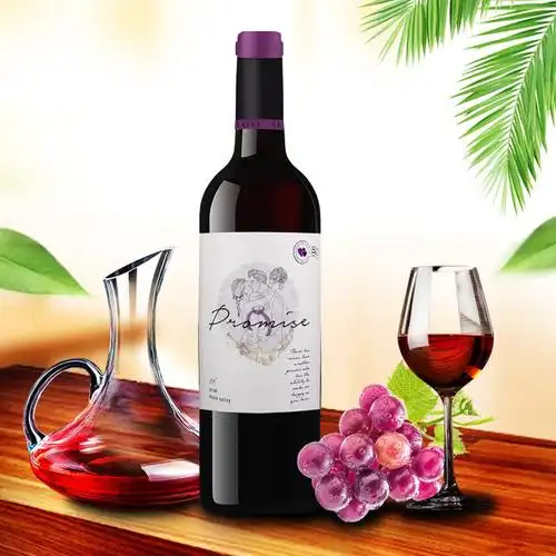 【专仓直发包邮】爱的封印·承诺西拉红葡萄酒750ml赠送海马刀