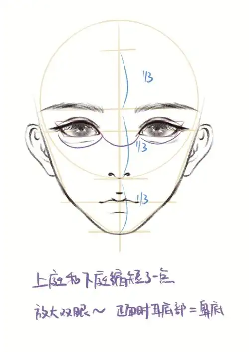 procreate画画教程人像正面五官定位