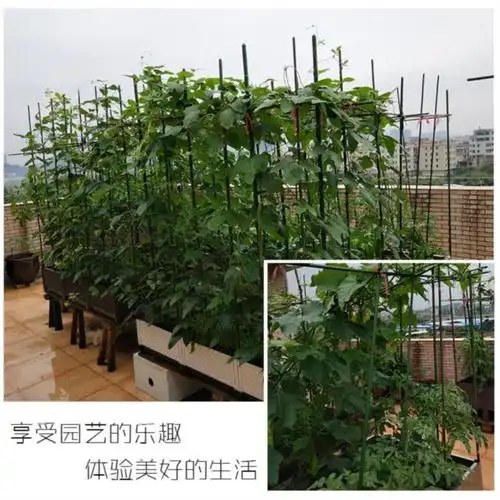 直立葫芦架菜园子花支架托杆绿化架子庭院瓜棚幼儿园花支柱缠绕加