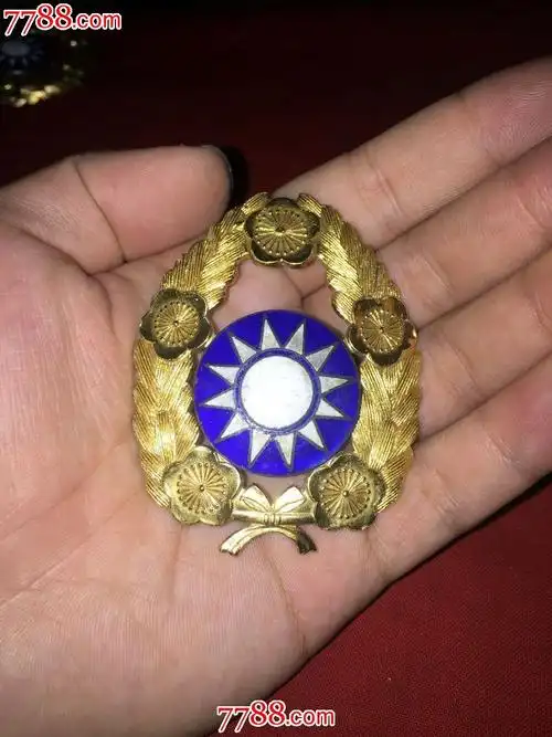 国军军官大盘帽徽(2)