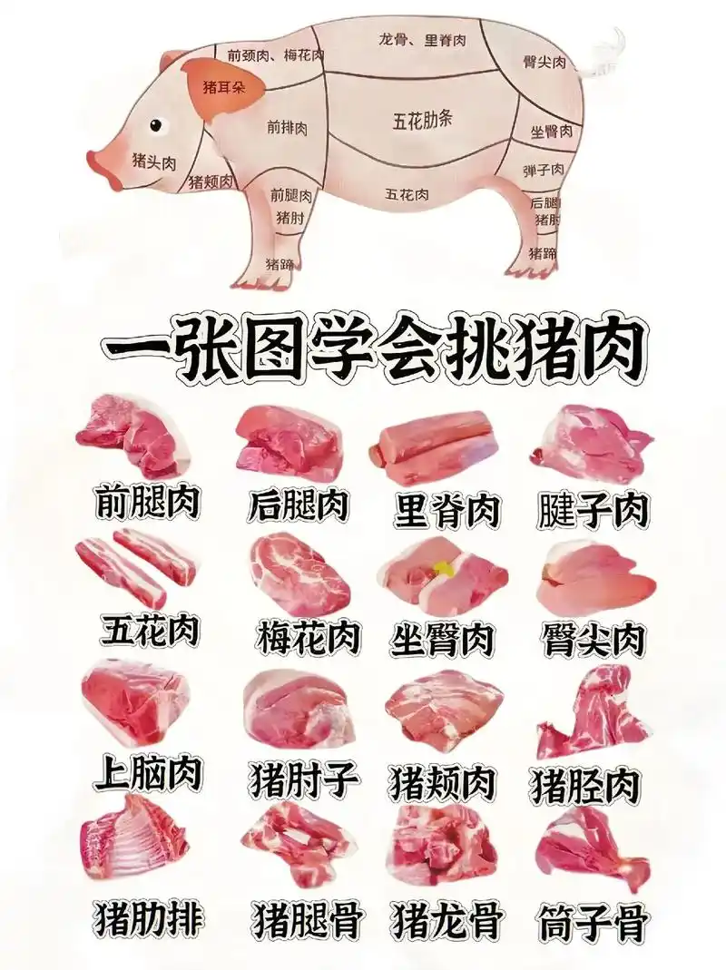 家人们,猪肉部位怎么选?一张图搞定!#猪肉 #猪肉分割技巧 - 抖音