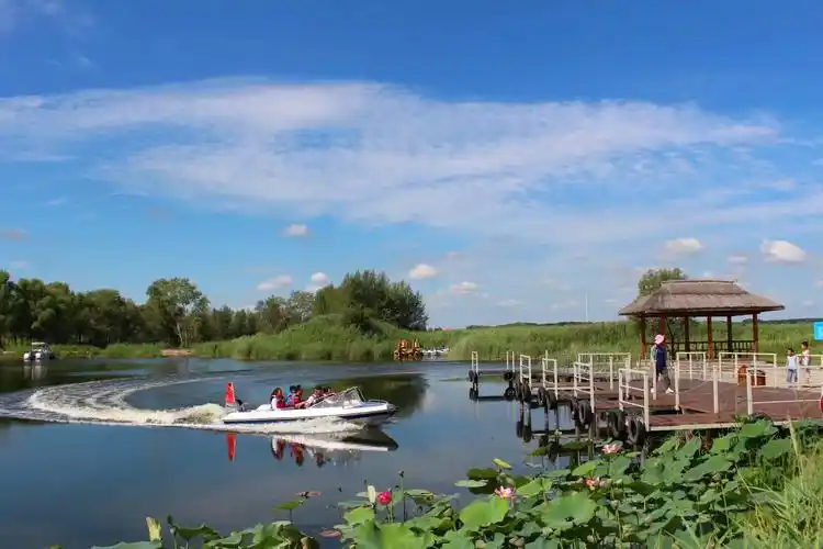亚洲最大的湿地扎龙自然保护区,丹顶鹤之乡齐齐哈尔风光美如画
