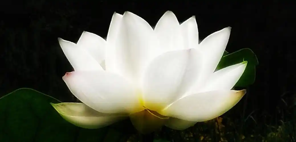 熟悉的地方有风景