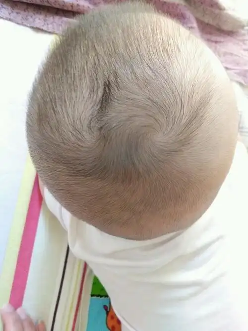 这种头旋叫什么看网上说是凤凰头,有什么说法吗?