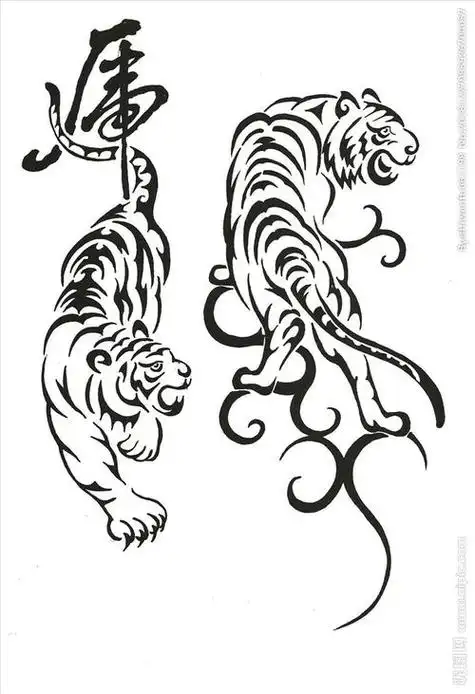 白老虎简笔画素描画