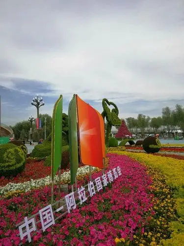 醉美的中国花卉博览园一银川花博园(2)